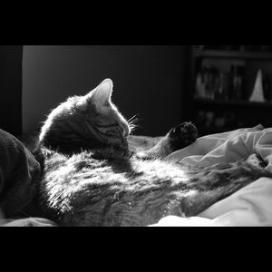 Meet your Posher, Lilly